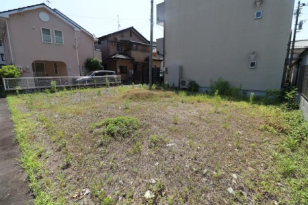 ���n�y�n�ʐ^ -