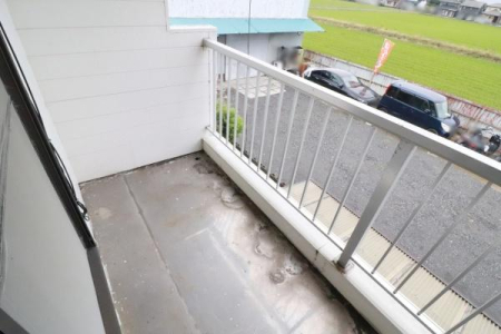 �o���R�j�[ ���t�H�[���O�̃o���R�j�[�̗l�q