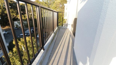 �o���R�j�[ -