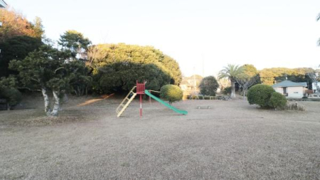 ���̑����p�� -