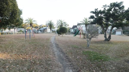 ���̑����p�� -