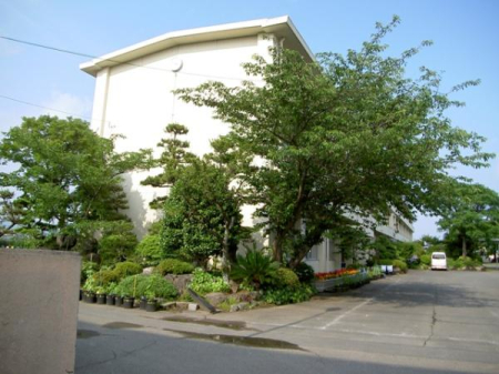 ӊ ywZzĒÎsΏwZF1290u