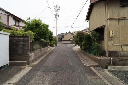 OʓH܂ތnʐ^ ݂OʓH̗lq