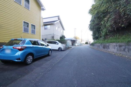 OʓH܂ތnʐ^ kBeH̗lq