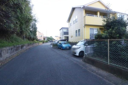 OʓH܂ތnʐ^ 쑤BeH̗lq