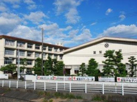 ӊ ywZz}stwZF2640u