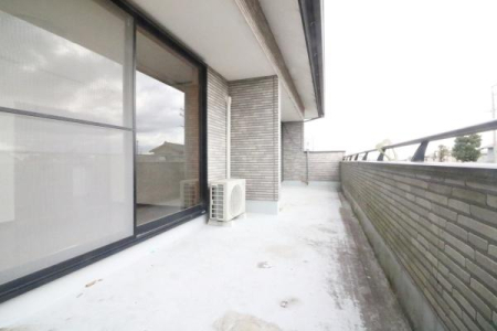 �o���R�j�[ �o���R�j�[�̗l�q