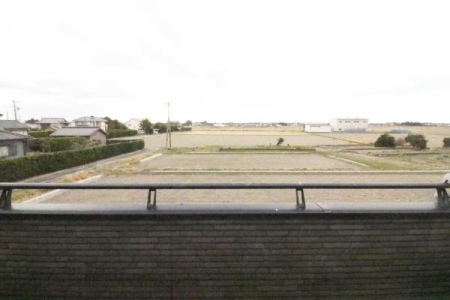 �Z�˂���̒��]�ʐ^ �o���R�j�[����B�e�������ӂ̗l�q