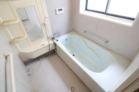 ���� ���j�b�g�o�X�̗l�q