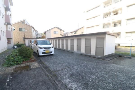 ̑n 11qɕtA]Ԃ傫ł