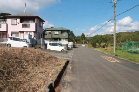 OʓH܂ތnʐ^ OʓH̗lq