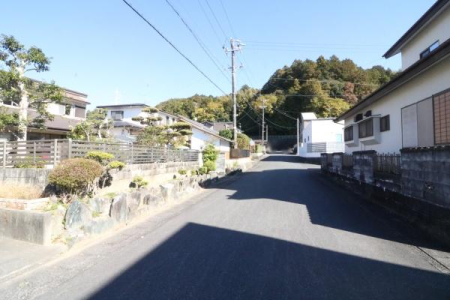 �O�ʓ��H�܂ތ��n�ʐ^ ��������̓��H�̗l�q