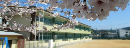 ӊ ywZzcsÏwZF450u