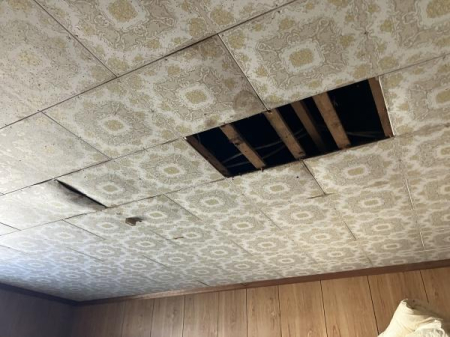 ���̑����n -