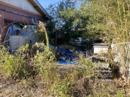 ���̑����n -