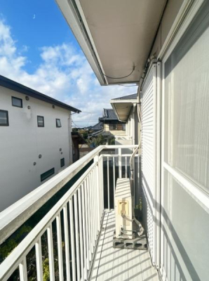 �o���R�j�[ �o���R�j�[�̗l�q