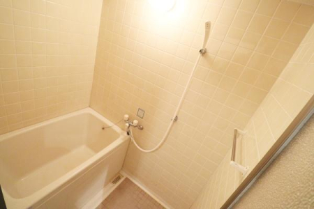 ���� �L�X�Ƃ��������������F�����̗�����1���̔����X�b�L���Ǝ���Ă������K�ȋ�Ԃł��B
