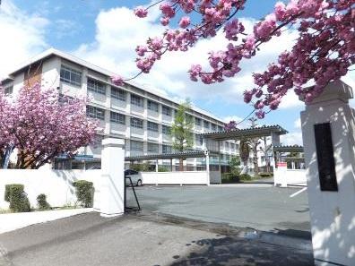 ���ӊ� �y���w�Z�z�L��s���������w�Z�F1114�u