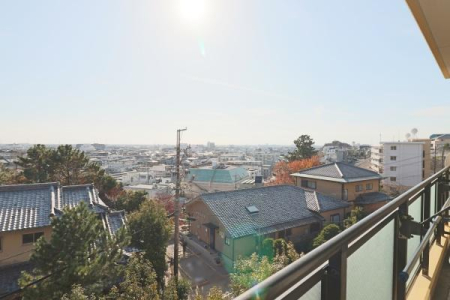 �Z�˂���̒��]�ʐ^ -