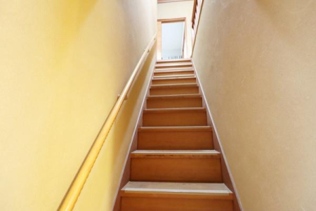 ���̑����� -