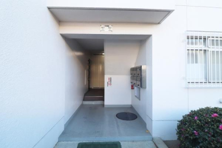 ���̑����p�� -