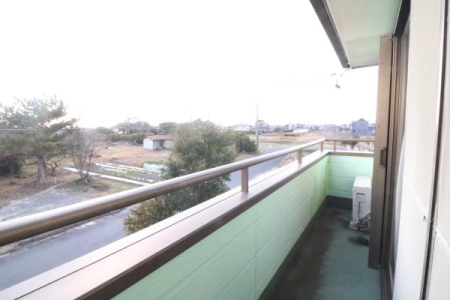 �o���R�j�[ �o���R�j�[�̗l�q