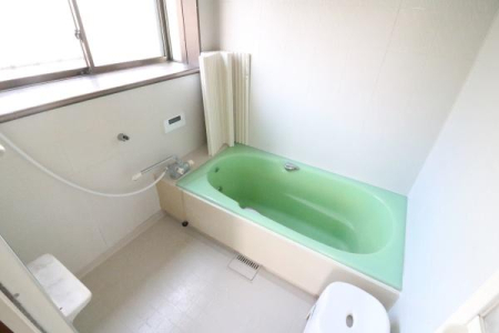 ���� �����̗l�q