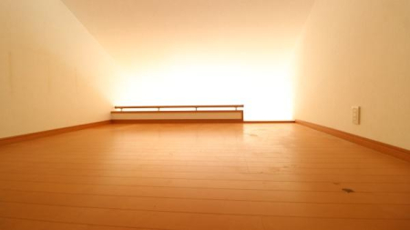 ���̑����� -