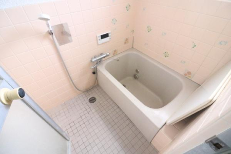 ���� �����̗l�q