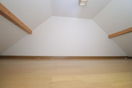 ���̑����� -