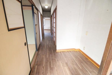 ���̑����� �PF�L���̗l�q�����ʂ����ǂ��ł�(^_^)