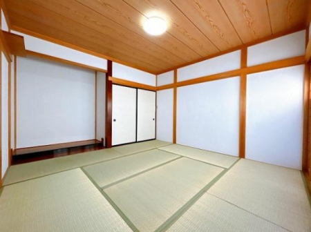 �a�� �a��8���̗l�q