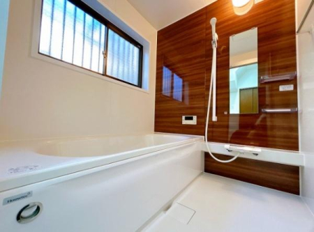 ���� �V�i�̗����̗l�q