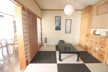 �a�� �a��4.5���̗l�q