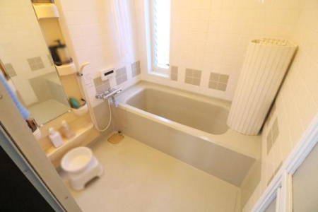 ���� �����̗l�q