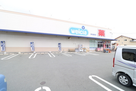 ���ӊ� �y�h���b�O�X�g�A�z�E�G���V�A�l���Y���X�F651�u