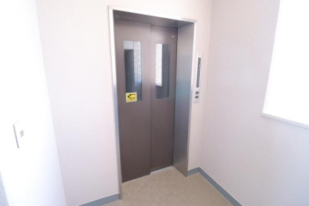 ���̑����p�� -