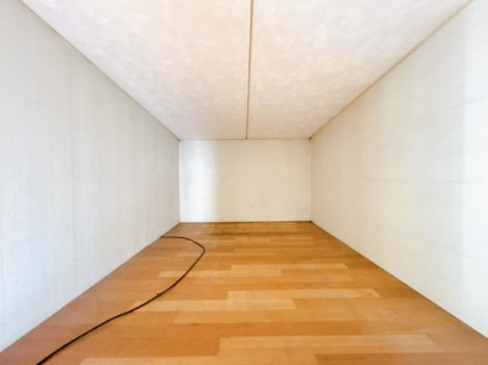 �m�� ��]�̗l�q