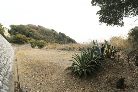 ���̑����n -