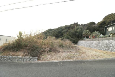 �����ϊX���ݎʐ^ -