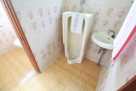 �g�C�� �j�g�C���Ǝ��̗l�q