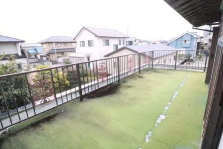 �o���R�j�[ ���C�h�o���R�j�[�̗l�q