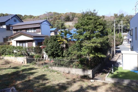 ���n�y�n�ʐ^ -