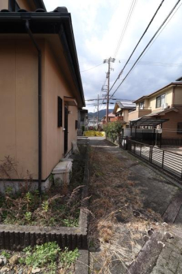 ���̑����n -