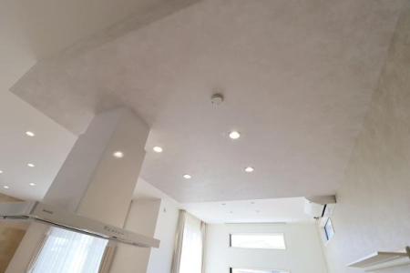 �L�b�`�� �L�b�`���̓V��ɂ̓X�s�[�J�[�t���̃��C�g���g�p���Ă��܂��B
���������Ȃ���TV�̉�����D���ȉ��y�𒮂����Ƃ��ł��܂��B