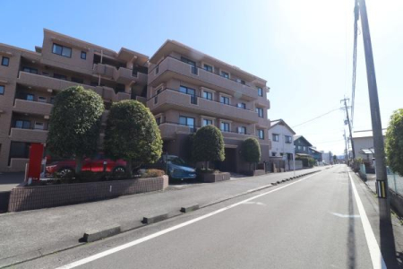 ���̑����n -