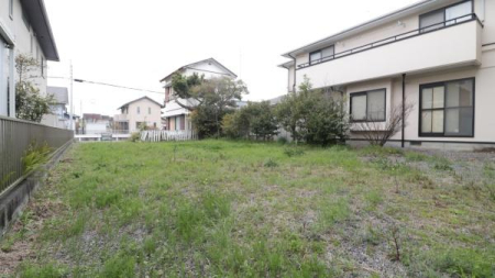 ���̑����n -