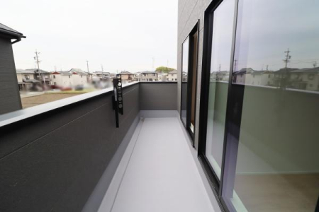 �o���R�j�[ �o���R�j�[�̗l�q