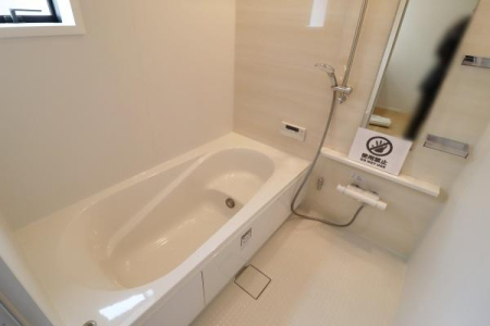 ���� 1�؂̍L���̗����̗l�q