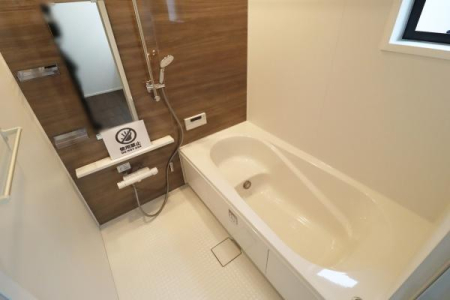 ���� 1�؂̍L���̗����̗l�q